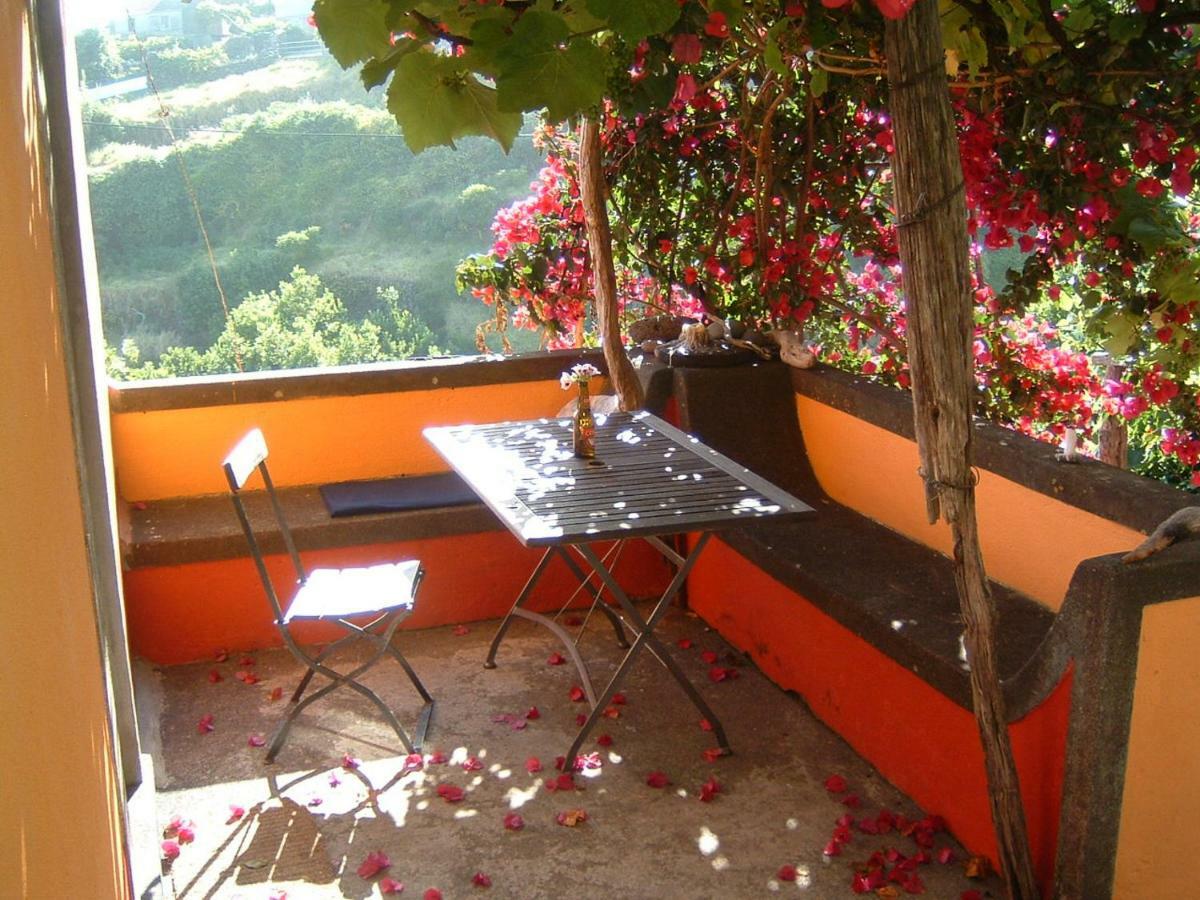 Madeira-Meerblick-Haus Estreito Da Calheta Εξωτερικό φωτογραφία