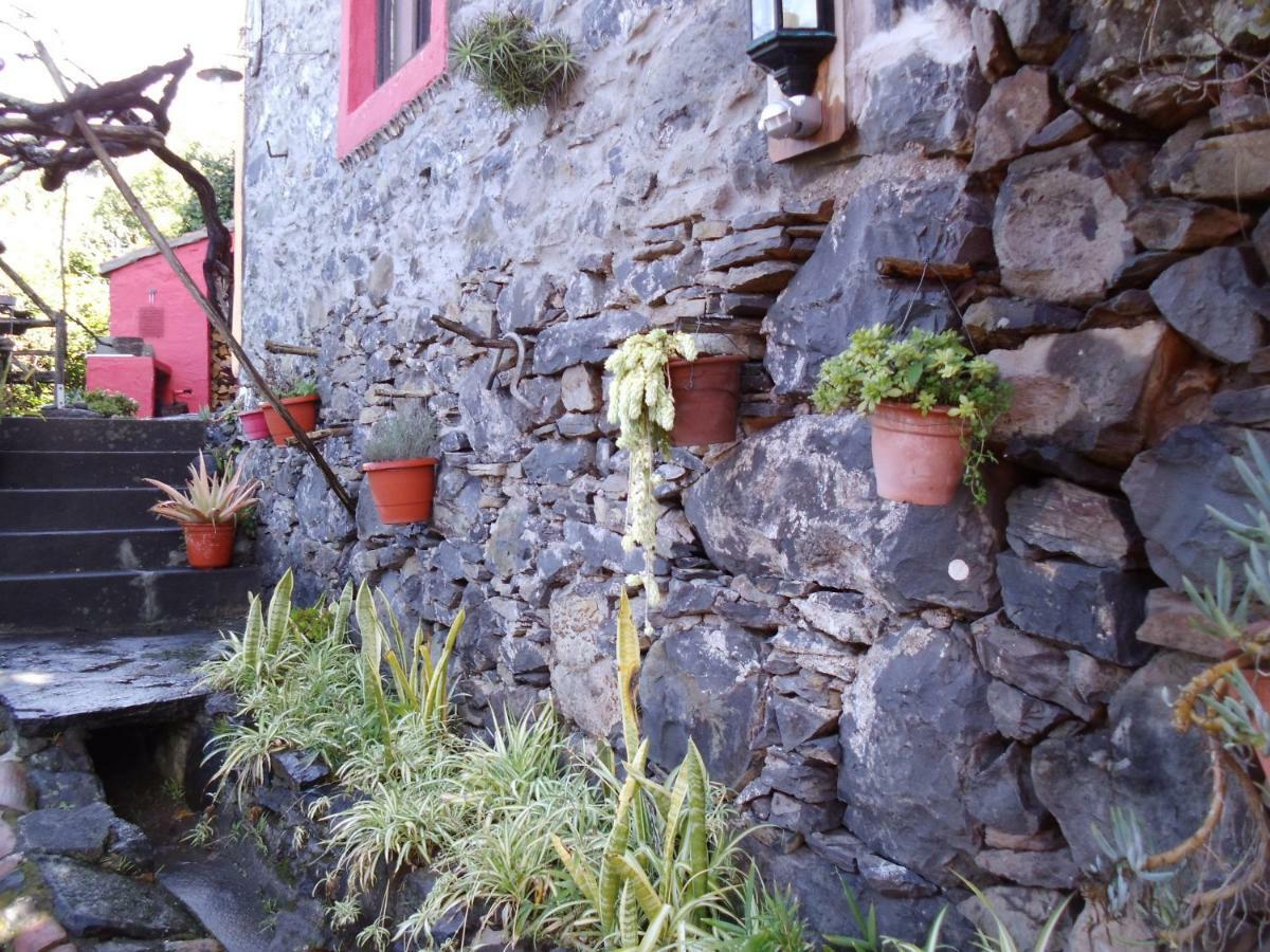 Madeira-Meerblick-Haus Estreito Da Calheta Εξωτερικό φωτογραφία