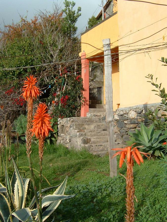 Madeira-Meerblick-Haus Estreito Da Calheta Εξωτερικό φωτογραφία