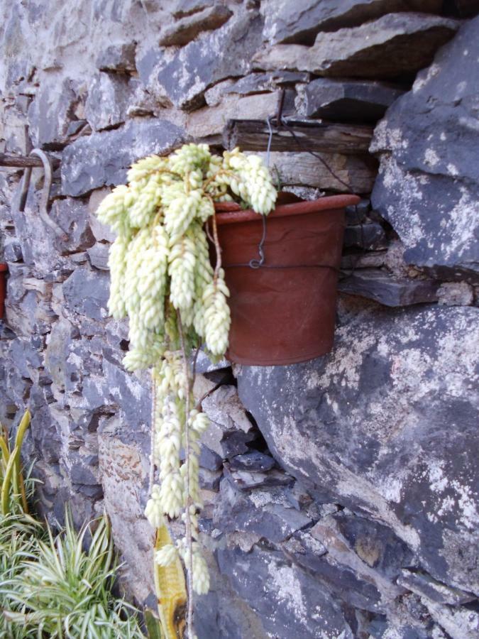 Madeira-Meerblick-Haus Estreito Da Calheta Εξωτερικό φωτογραφία